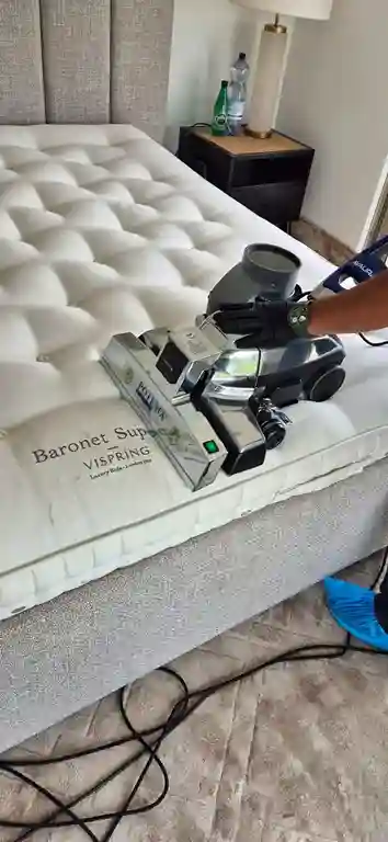 Professional mattress cleaning