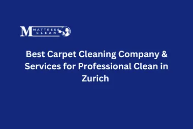 Best Carpet Cleaning Company & Services for Professional Clean in Zurich