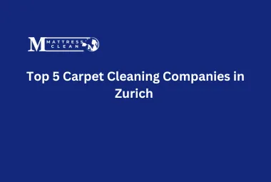 Top 5 Carpet Cleaning Companies in Zurich