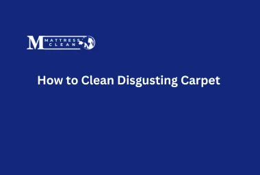 How to Clean Disgusting Carpet