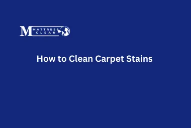 How to Clean Carpet Stains