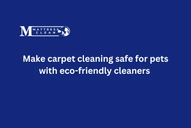 Make carpet cleaning safe for pets with eco-friendly cleaners