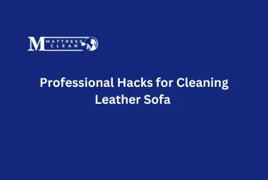 Professional Hacks for Cleaning Leather Sofa 