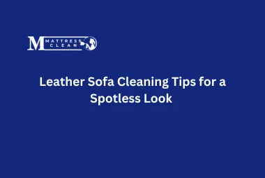 Leather Sofa Cleaning Tips for a Spotless Look