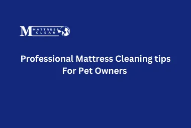 Professional Mattress Cleaning tips For Pet Owners