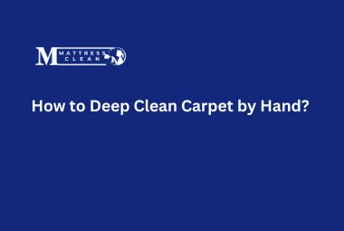 How to Deep Clean Carpet by Hand?