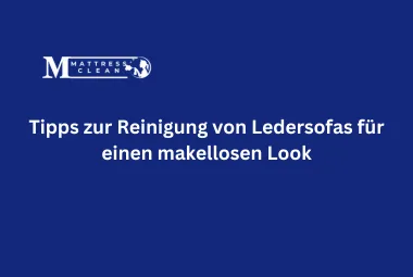 Tipps zur Reinigung von Ledersofas für einen makellosen Look