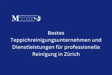 Bestes Teppichreinigungsunternehmen und Dienstleistungen für professionelle Reinigung in Zürich