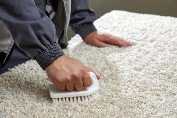 How-to-Deep-Clean-Carpet-by-Hand