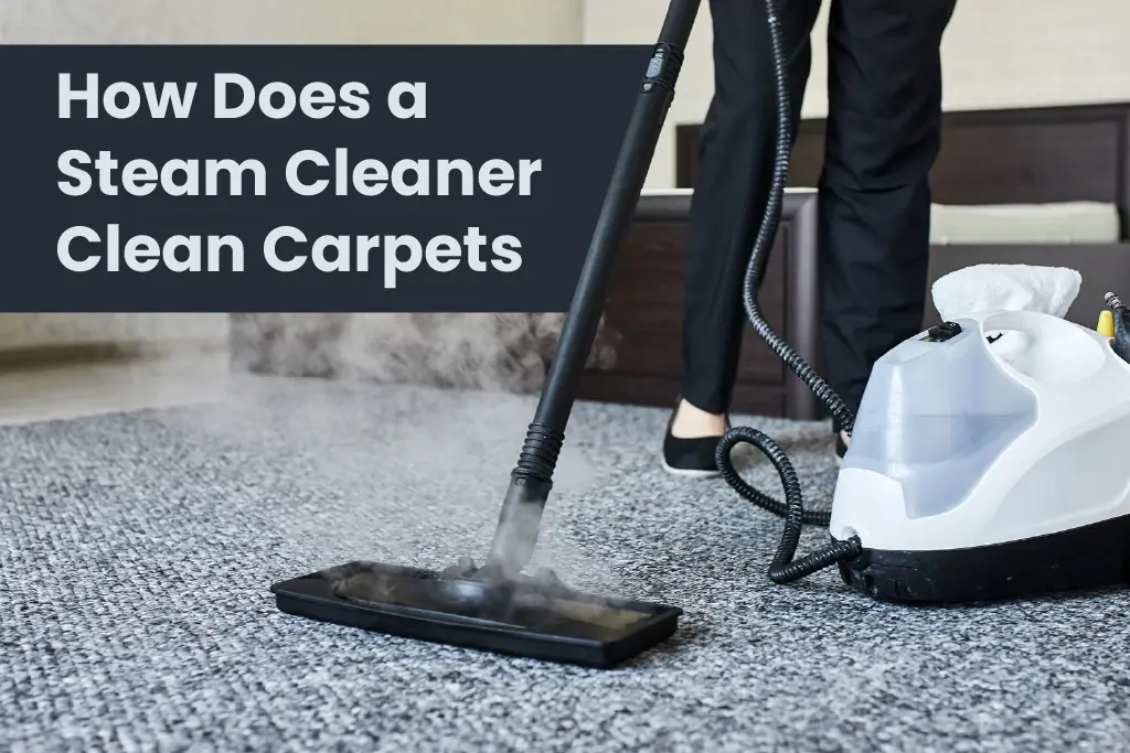 How Does a Steam Cleaner Clean Carpets